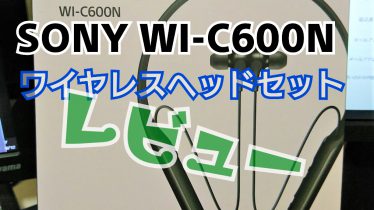 sony wi-c600n